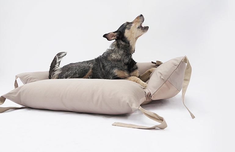 Camas hunter sales para perros