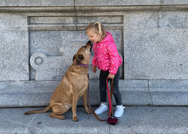 Las mascotas juegan un papel sumamente importante en las familias, ¿sabes por qué?