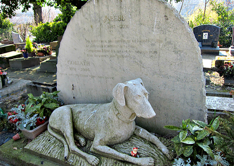 El cementerio de perros más antiguo de Europa ¿lo conoces?