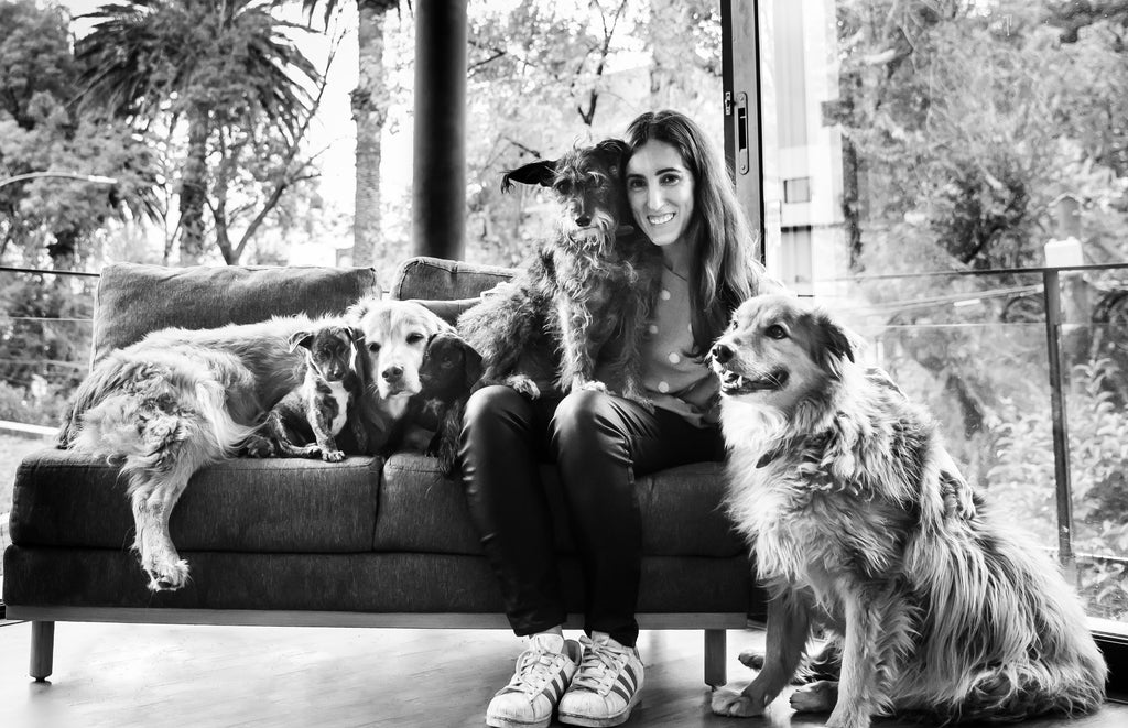 Adoptist, una plataforma que encuentra hogares responsables a perros