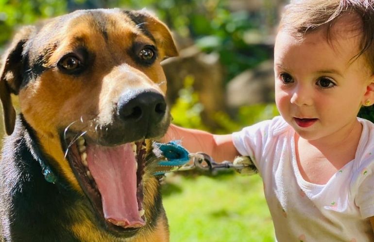 ¿Nuevo bebé en casa? Evita los celos de tu perro con estos tips