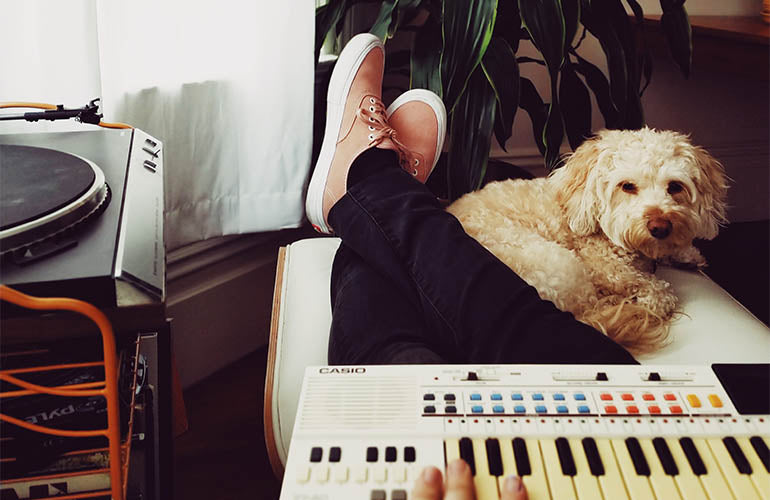 Música relajante para perros, ¿para qué sirve? - CANUTO