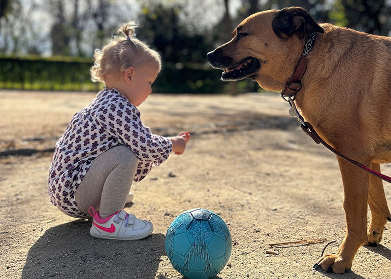 ¿Adoptar un perrito para el Día del Niño? 5 buenas razones para hacerlo