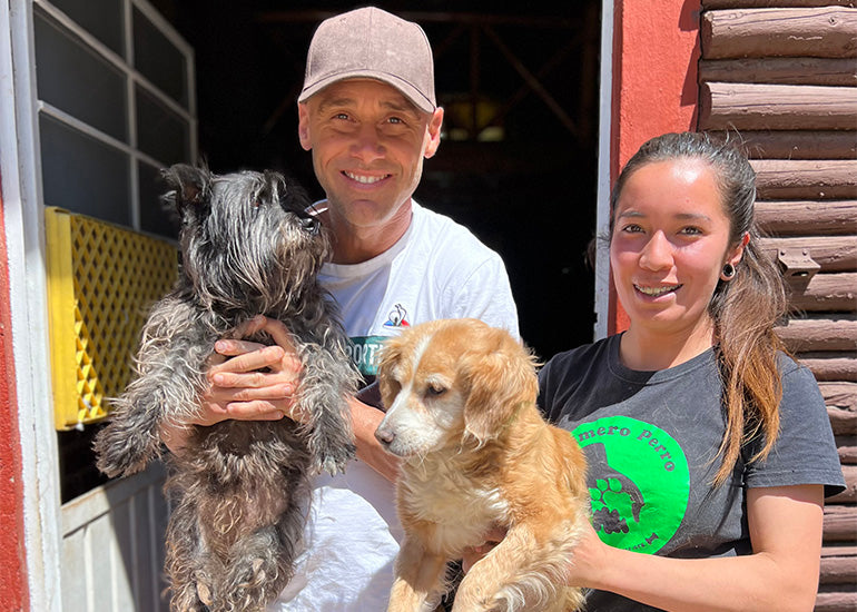 Primero Perro, un hogar en México para perros