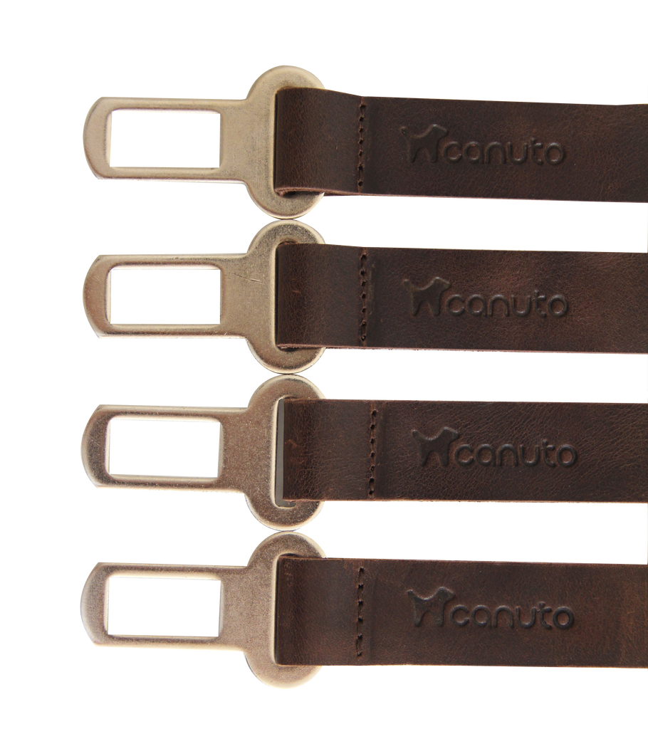 Accesorios para Perros - Cinturón de Seguridad - Hebillas