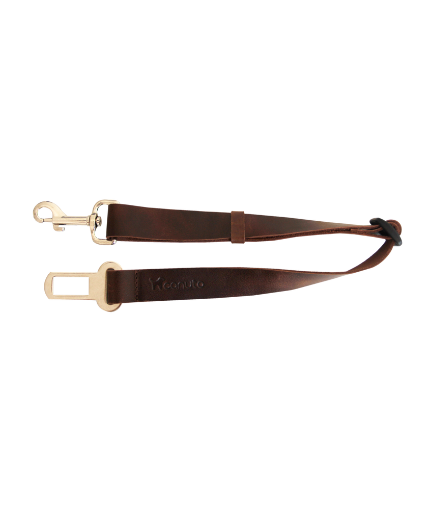 Accesorios para Perros - Cinturón de Seguridad - Material Piel